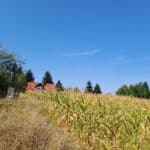 Ingatlan Gersekarát belterület 88 hrsz – beépítetlen terület