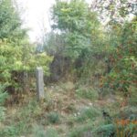 Ingatlan Káloz, Táncsics M. út 18.