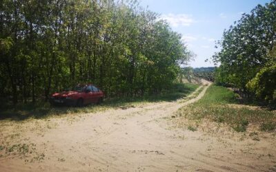Ingatlan Borota, 96 hrsz